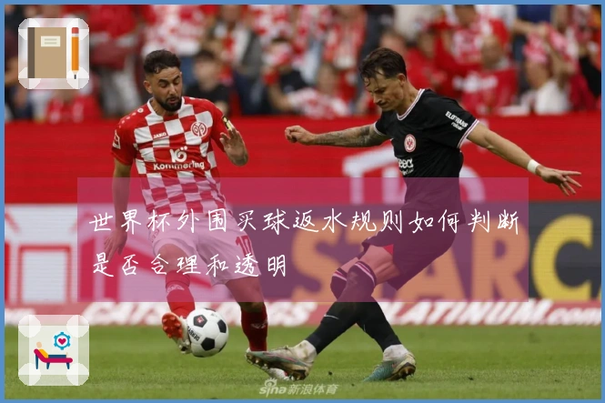 世界杯外围买球返水规则如何判断是否合理和透明