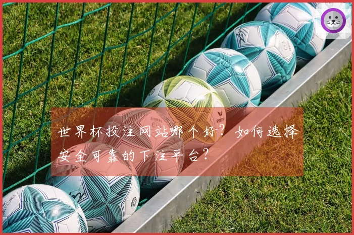 世界杯投注网站哪个好？如何选择安全可靠的下注平台？